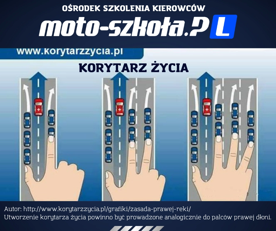 Infografika tworzenia korytarza życia